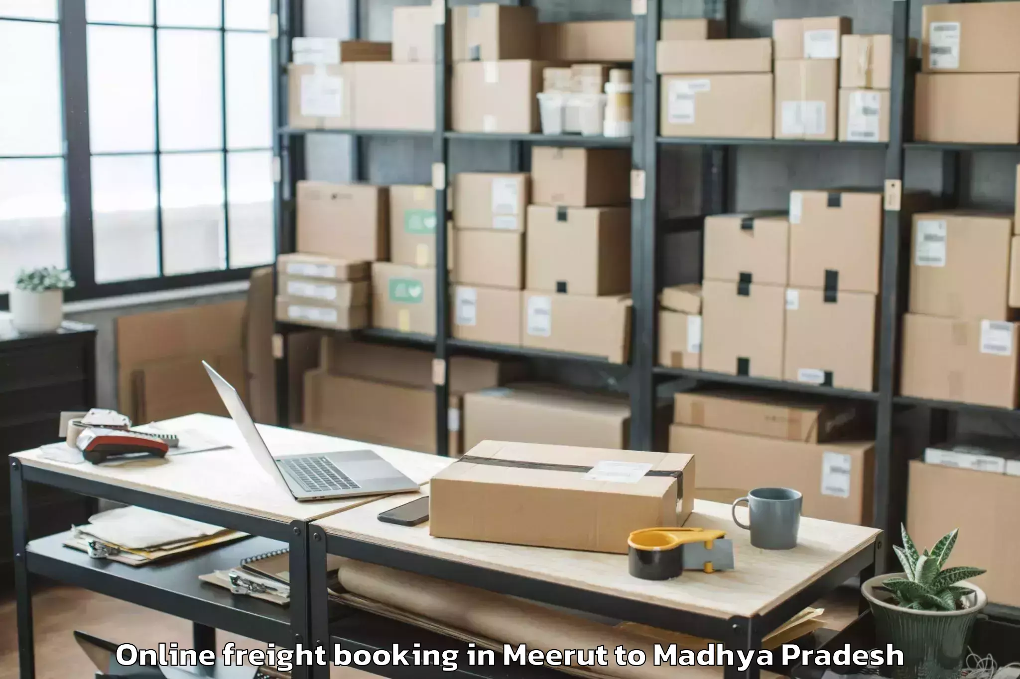 Top Meerut to Gwalior Gird Online Freight Booking Available